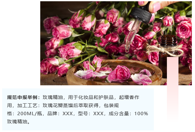 <a href='http://www.vwgbic.cn' title='危險品海運' >危險品海運</a>