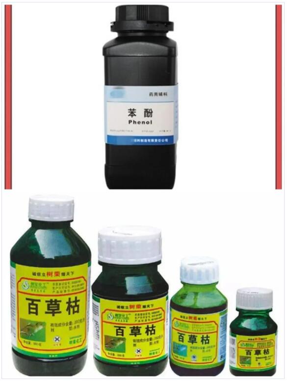 <a href='http://www.vwgbic.cn' title='國(guó)際貨運(yùn)代理' >國(guó)際貨運(yùn)代理</a>